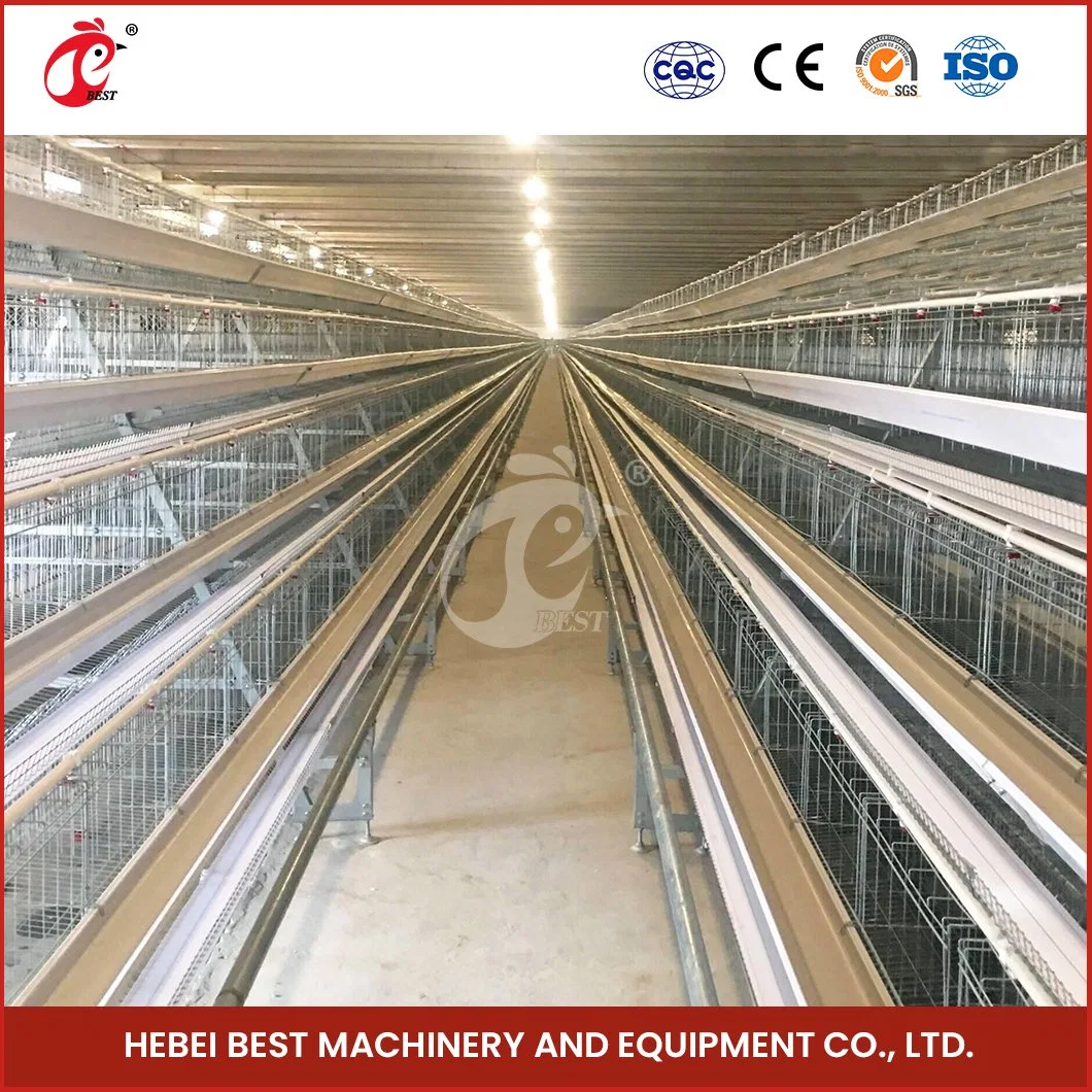 Bestchickencage Gewöhnliche Art Schicht Cage China Chicken Layer Coops Herstellung Freies Muster Stahldraht Material Geflügelschicht Cage