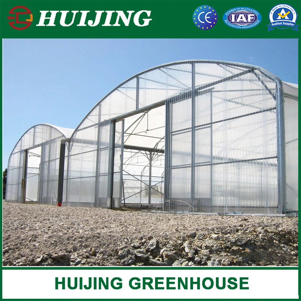 Gothic Multi Span Polycarbonate Greenhouse for Vegetables/Fruits/Flowers