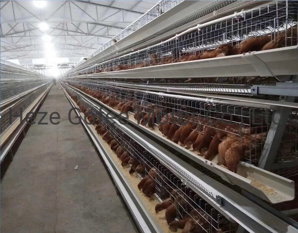 Egg Chicken Cage Poultry Farm Layer Cages