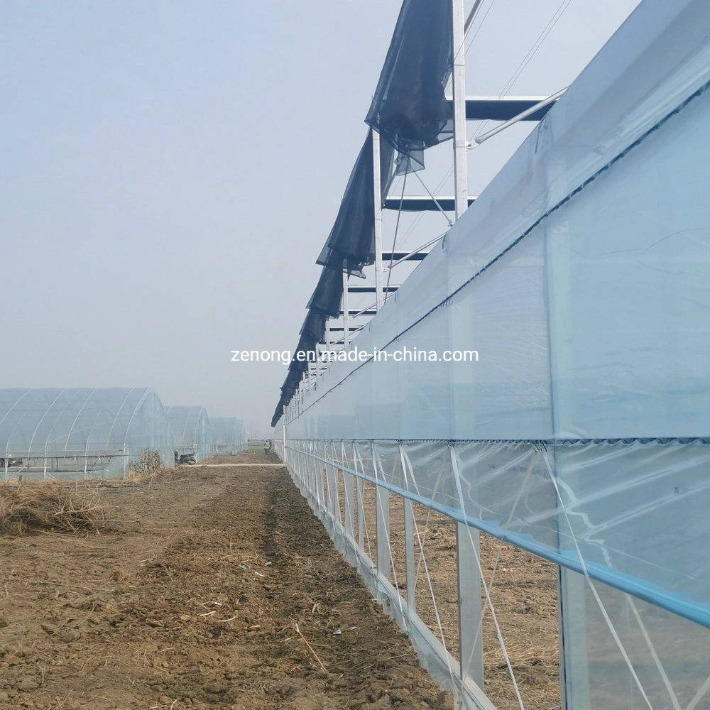 Factory Supply High Transparent Single or Double Film Greenhouse Intelligent Film Greenhouses Vegetable/Flower/Hydroponics Greenhouse for Promotion