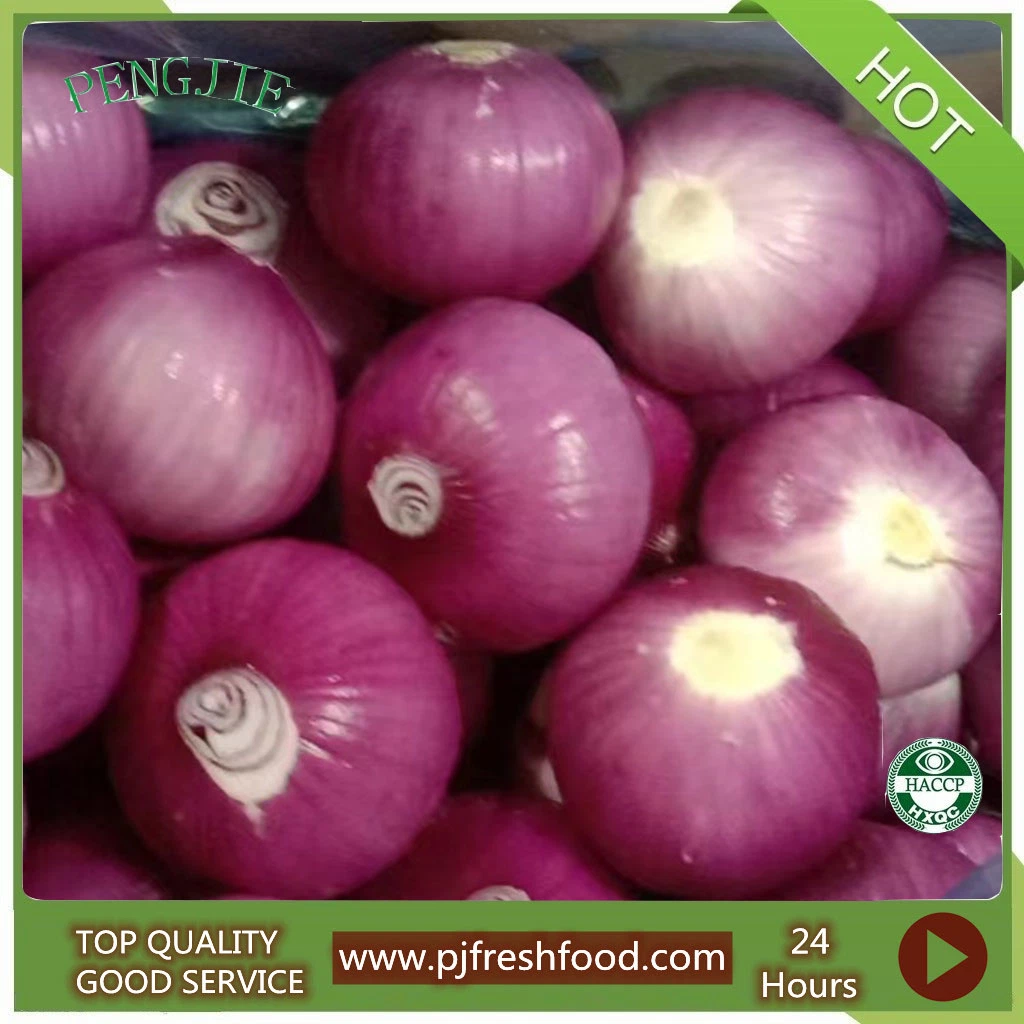 Export Quality Chinese Fresh Yellow Onion Fresh Vegetable Yellow Peeled Onion in Bulk Carton Mesh Bag