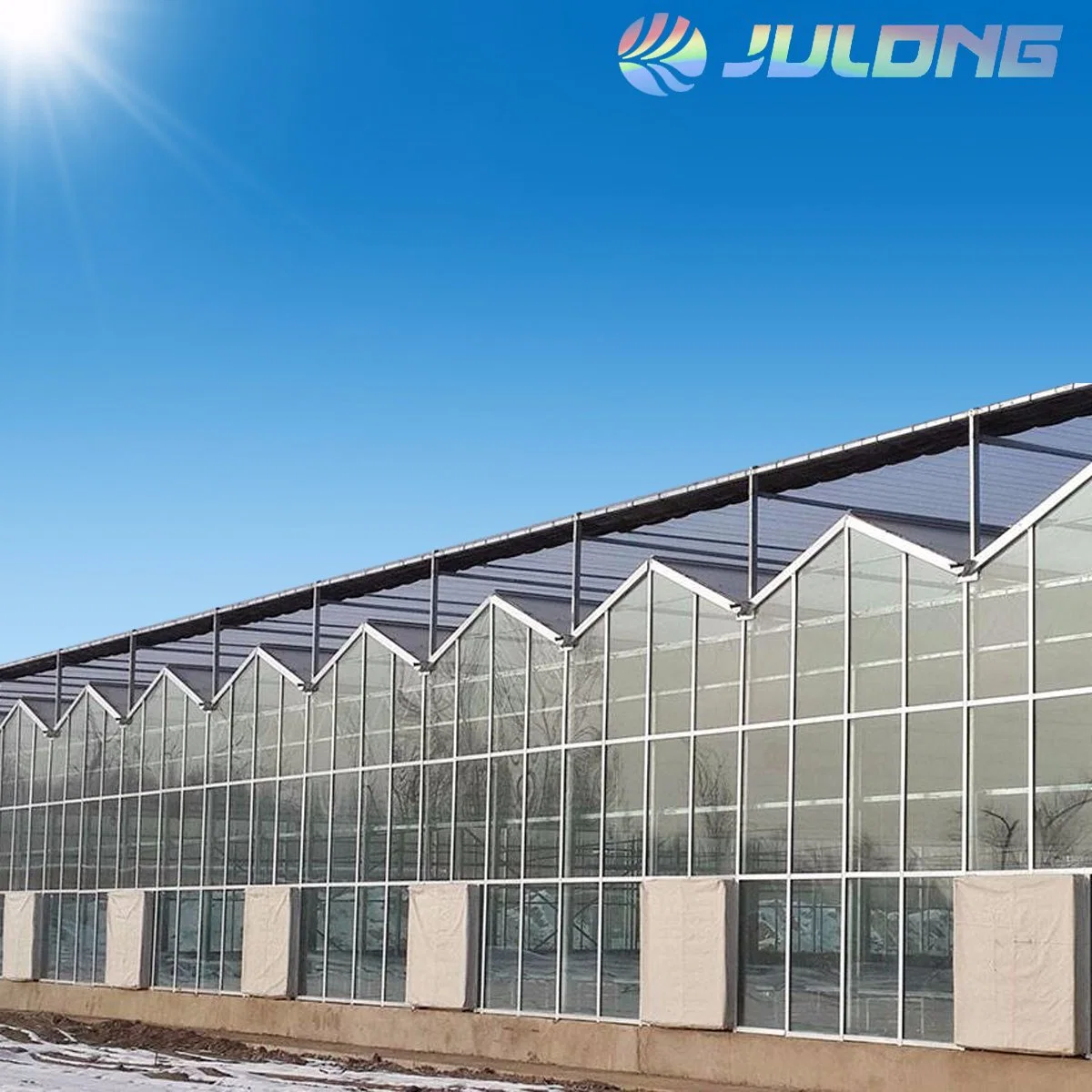 Customization Hot Sale Chinese Greenhouse for Agricultural Hydroponics Equipment Graden Flower Vegetables