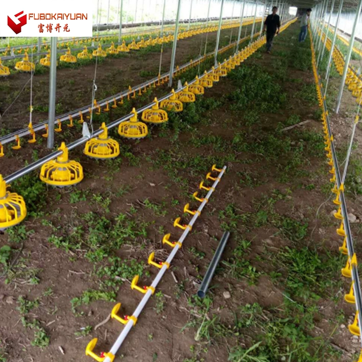 Poultry Equipment Chicken Farming Equipment Poultry House Automatic Algeria Chicken Feeder System Animal & Poultry Husbandry Equipment