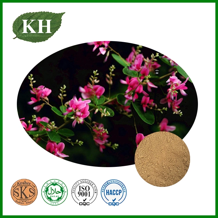 Flavonoids 6%; 12: 1 Lespedeza Capitata Extract