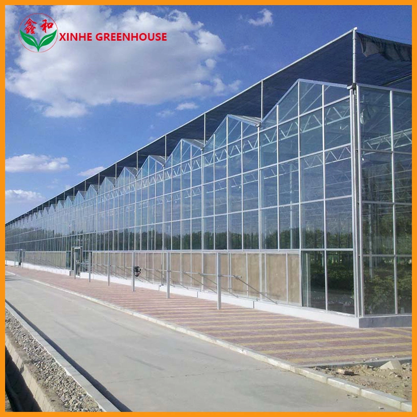 High quality/High cost performance Large Xinhe Customized Container House Prefab Prefabricated Float Glass Greenhouse