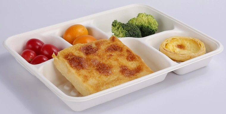 Comida ligera Multi-Square desechables Box Lunch Box Caja de embalaje biodegradables