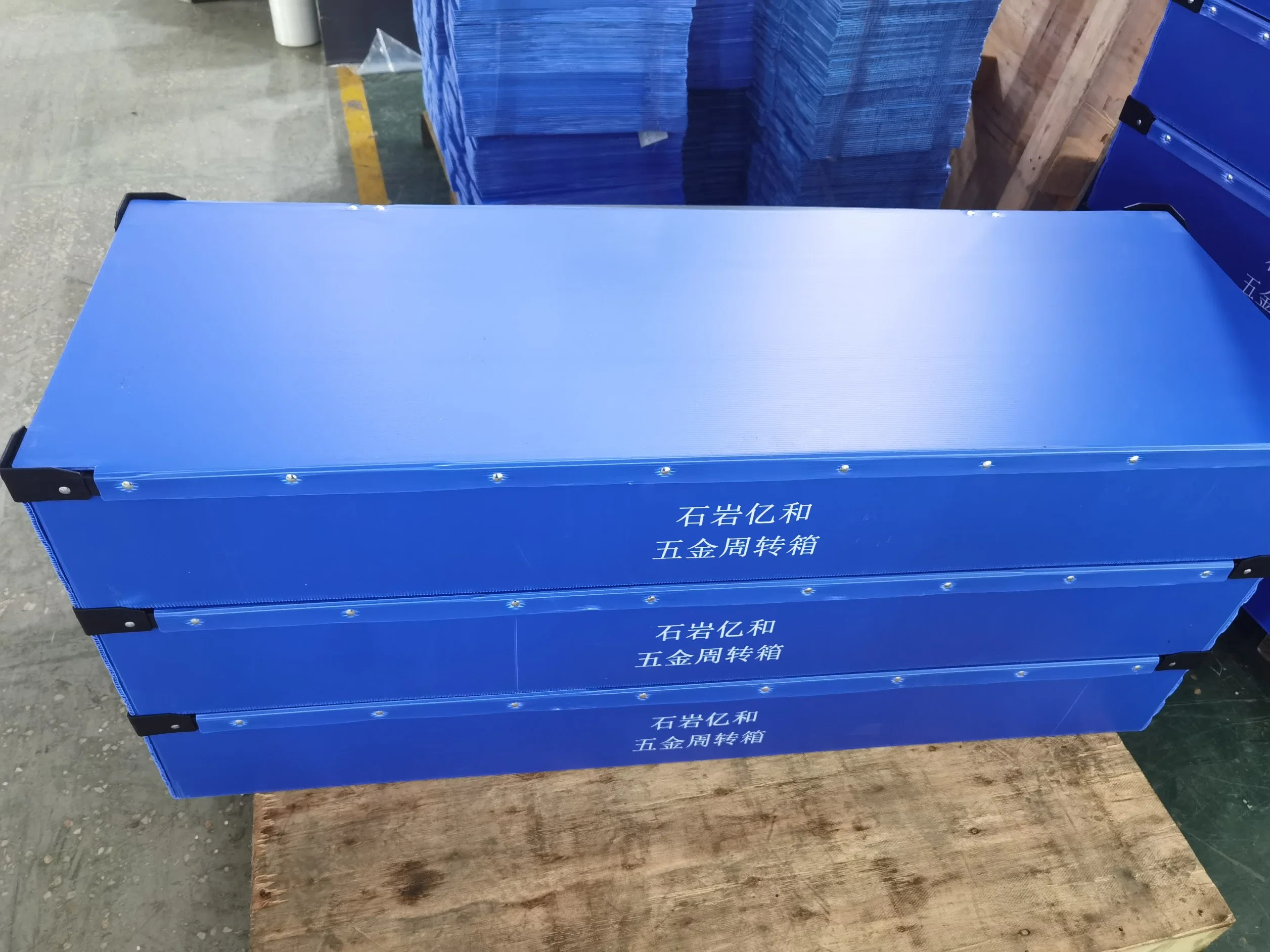 ODM PP Corrugated Plate Recyclable Nontoxic Polypropylene Corflute Sheet Hollow Box