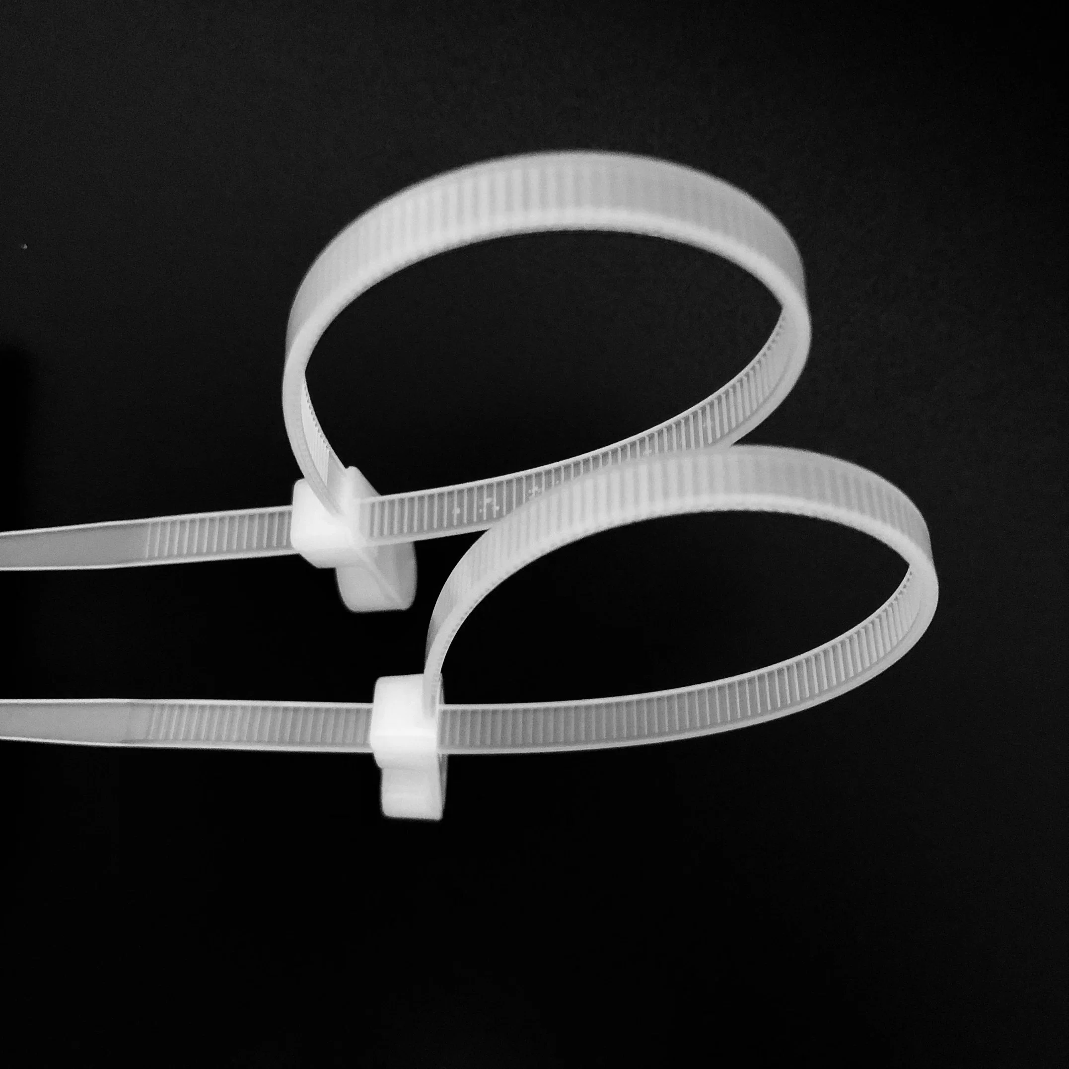 Mountable Head Nylon Cable Tie