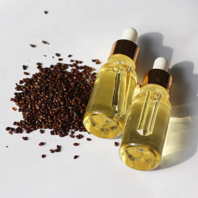 Supply Organic Seabuckthorn Seed Oil