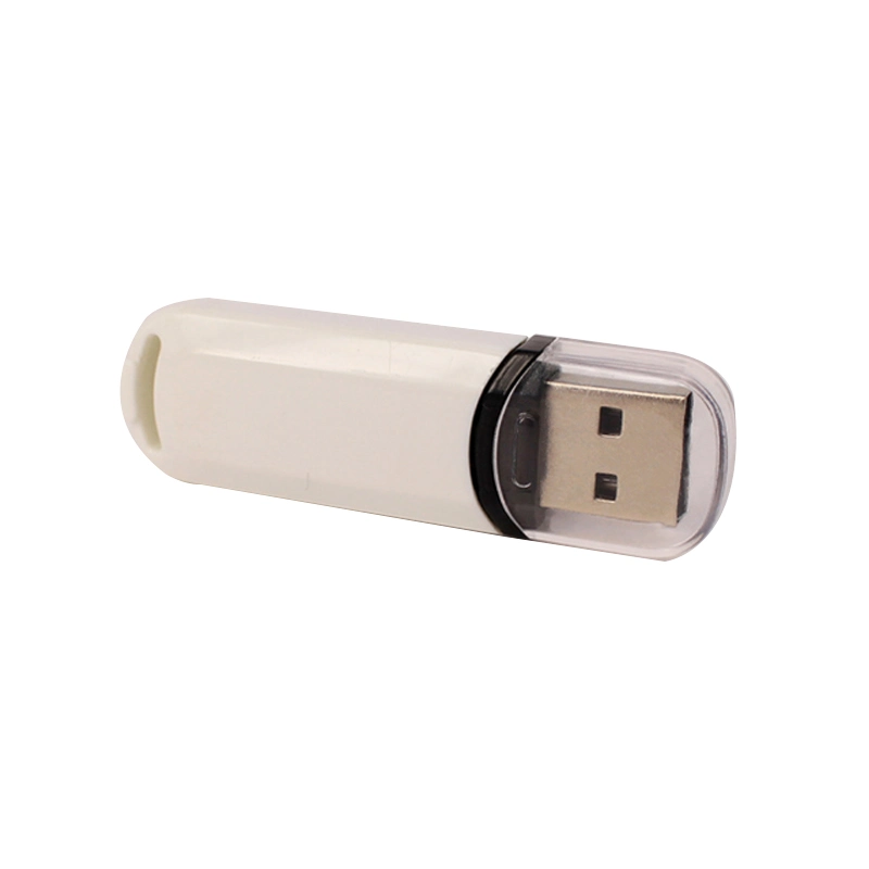 Promotional Gift Factory Direct Sale USB2.0 USB3.0 Plastic USB Flash Drive USB Pen Drive with Logo Customized