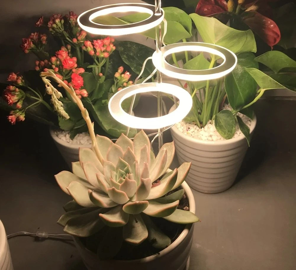 LED Plant Growth Lamp Full Spectrum Angle Ring Indoor Potted Household Timed Dimming Succulent Fill Light