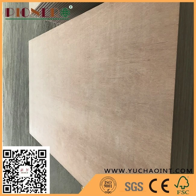 Keruing Face/Back Container Flooring Plywood with Phenolic Glue