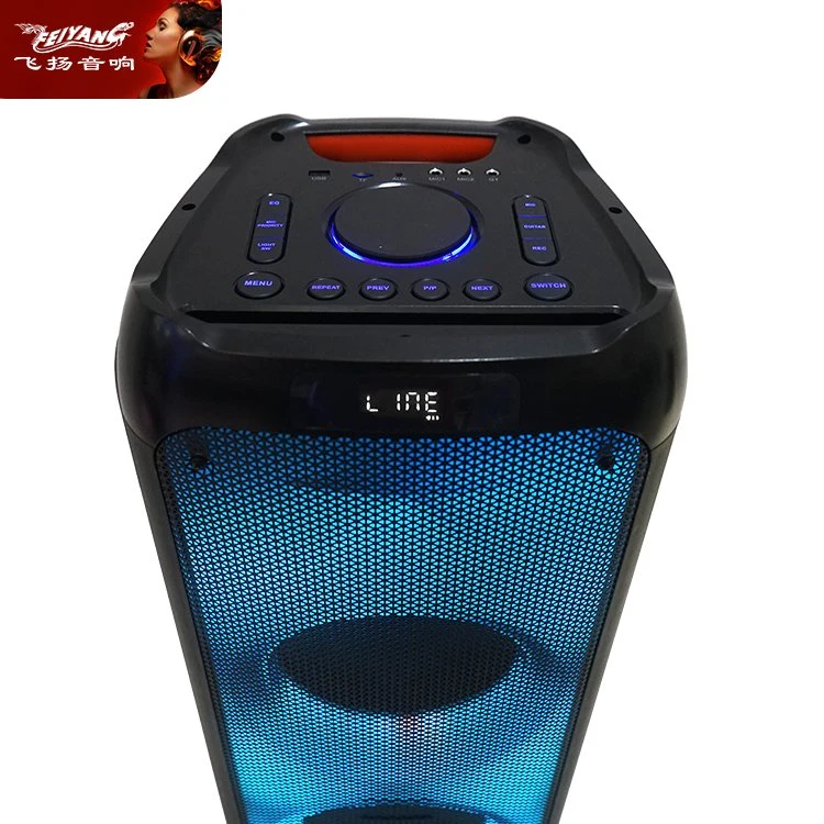 Professional Tws Double 10inch Big Power Recharged Bluetooth Loudspeaker