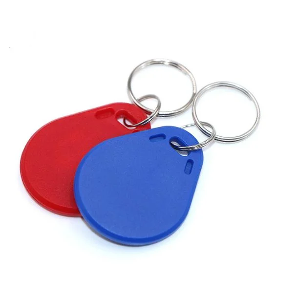 Inventory 125kHz RFID ABS Waterproof 134.2kHz Keyfob Plastic Key Tag with Keychain