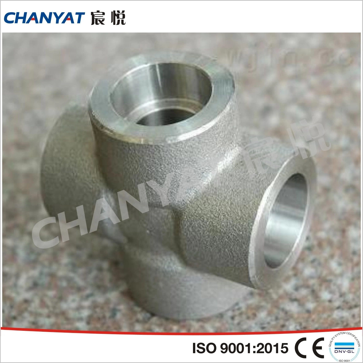 ASME, Mss, DIN, JIS, GOST Stainless Steel Forged Fitting