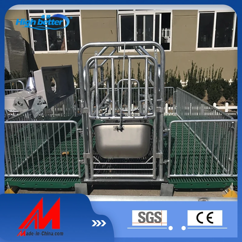 Lowest Price Hot DIP Galvanized Pig Farrowing Crate / Cage for Sows