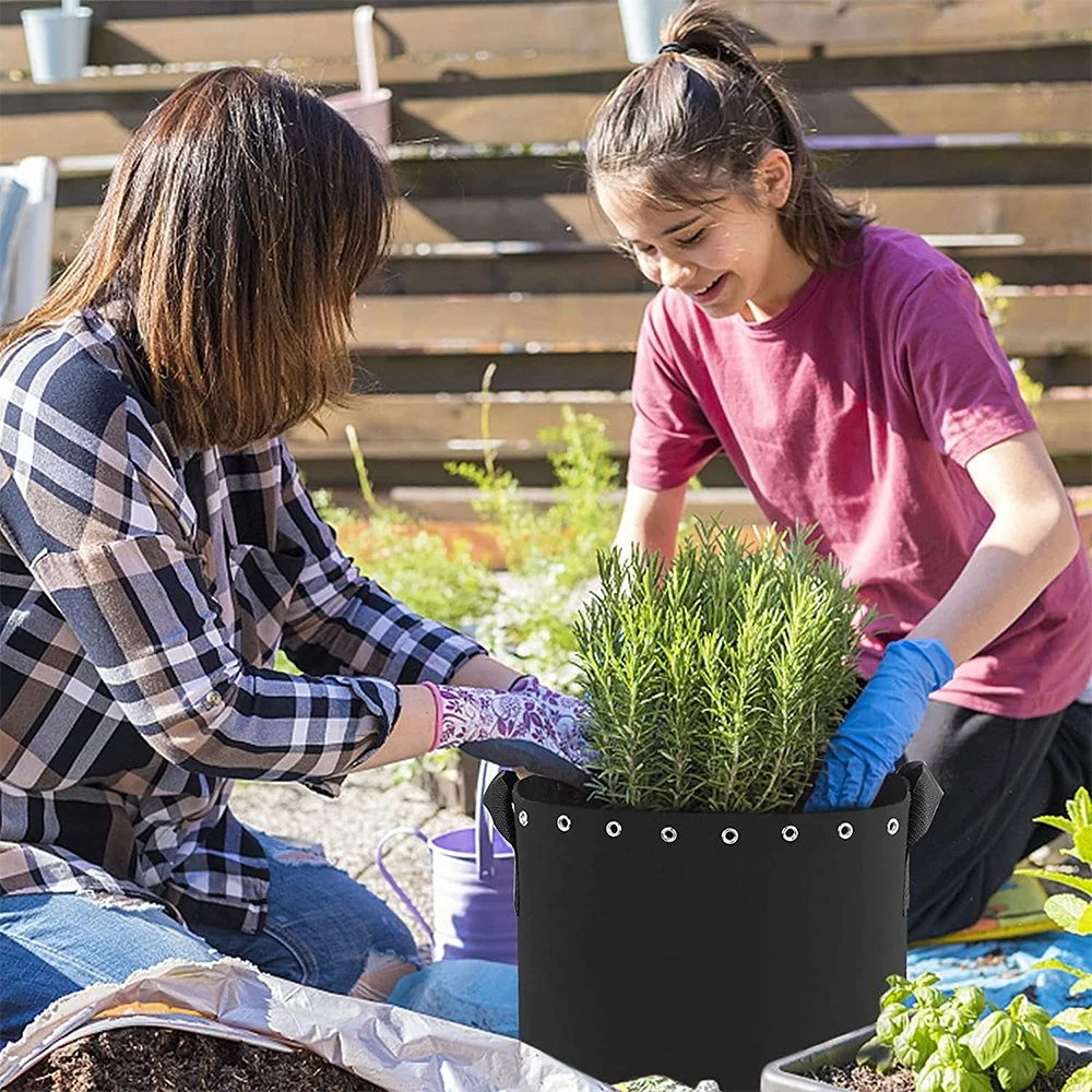 Muestra disponible Bolsas de siembra Bolsas de crecimiento de frutas y verduras 3 Planta de bolsas de cultivo biodegradables con asas y entrenamiento Agujeros