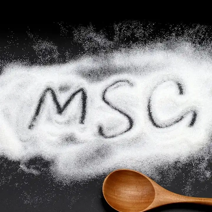 Original 99% Purity Msg China Salt Fufeng Monosodium Glutamate