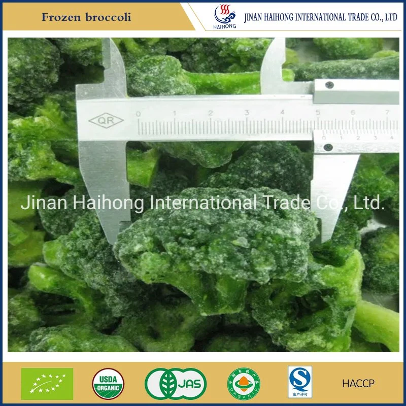 IQF Frozen Broccoli From China Supplier