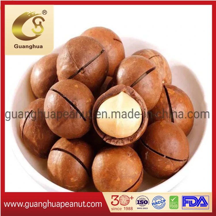 High Grade Roasted Macadamia Nuts with Ce