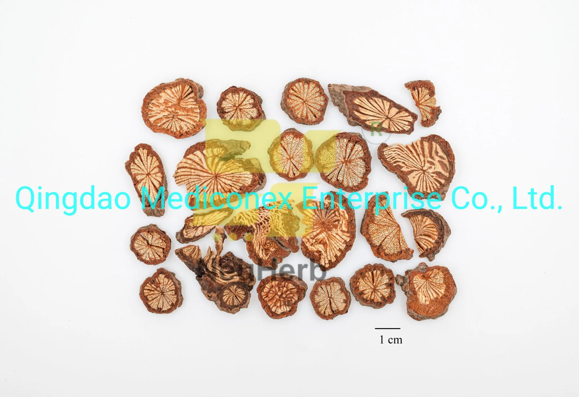 Chrysanthemum Indicum (capitulum) Herbal Raw Material Prepared Traditional Chinese Herbal Medicine Virus