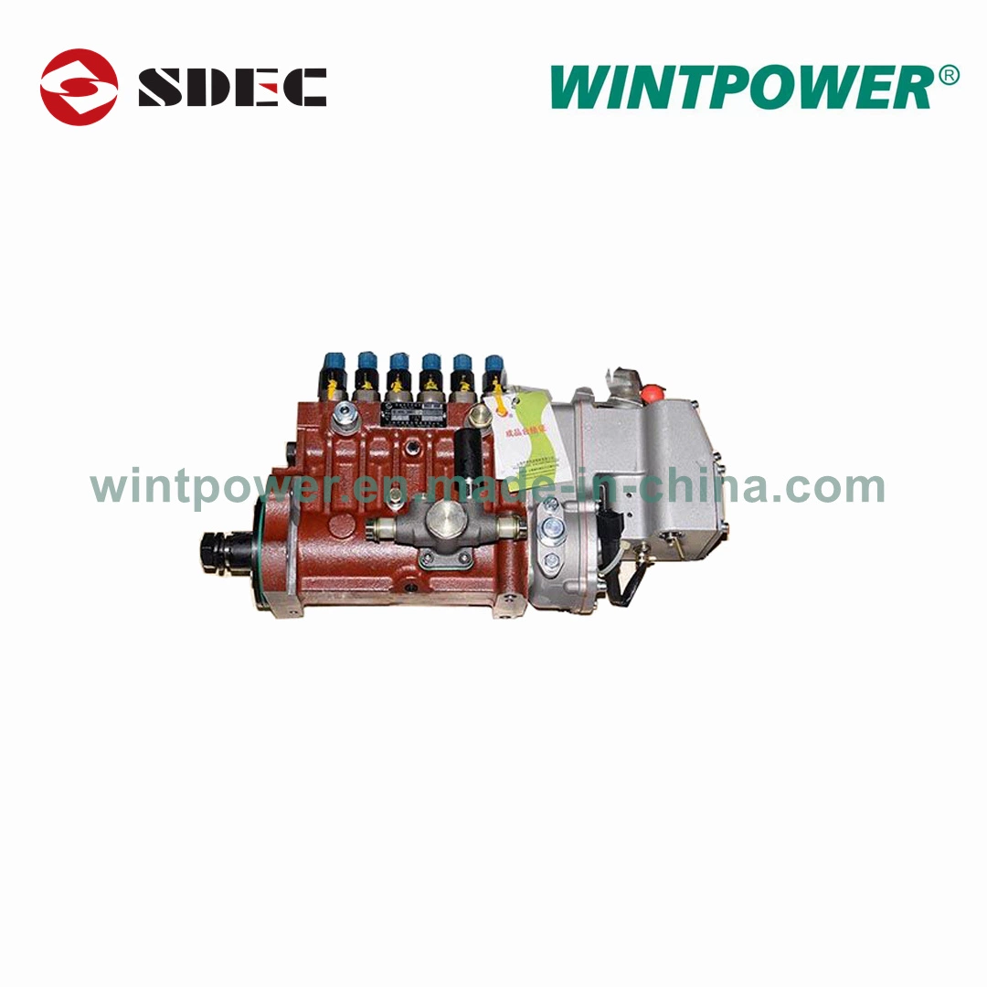 Sdec Fuel Injection Pump S00010596 P8500bh6p120 Genuine Original Spare Parts for Shangchai Engine E Series