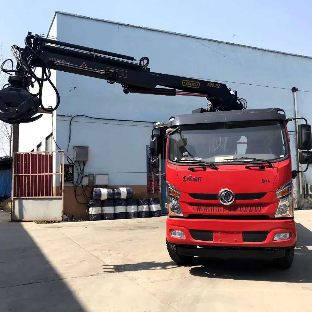 Lifting Equipment Used in Build Construction Easy Operation Hydraulic Truck Mounted Crane