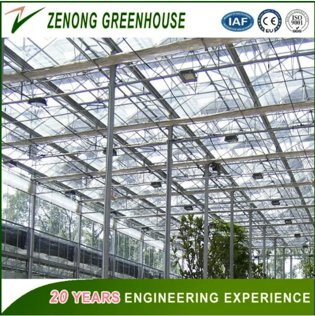 Commercial PC Sheet Greenhouse with Good Quality Price Hydroponics System