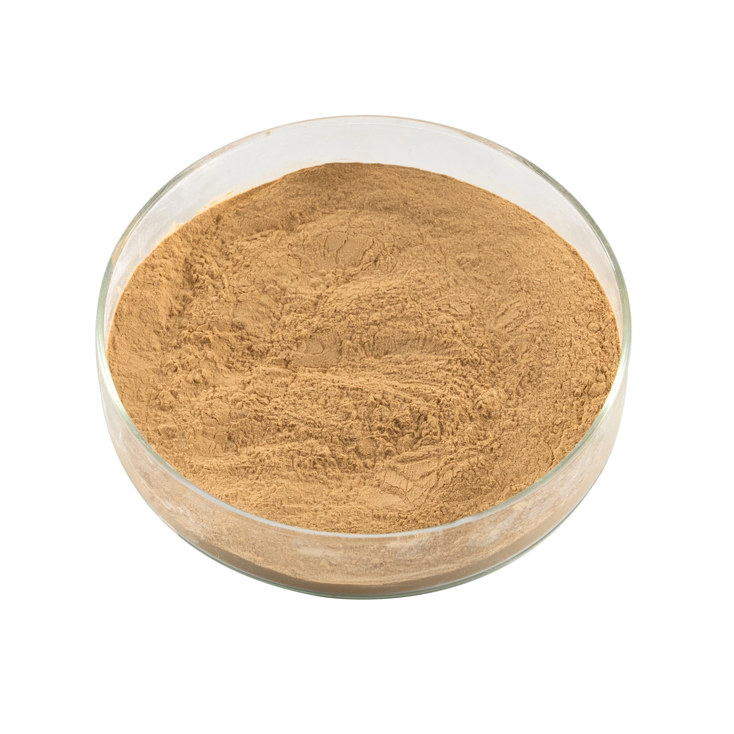 Hot Selling Food Additive Selenium Rich Yeast Powder/Selenium Yeast