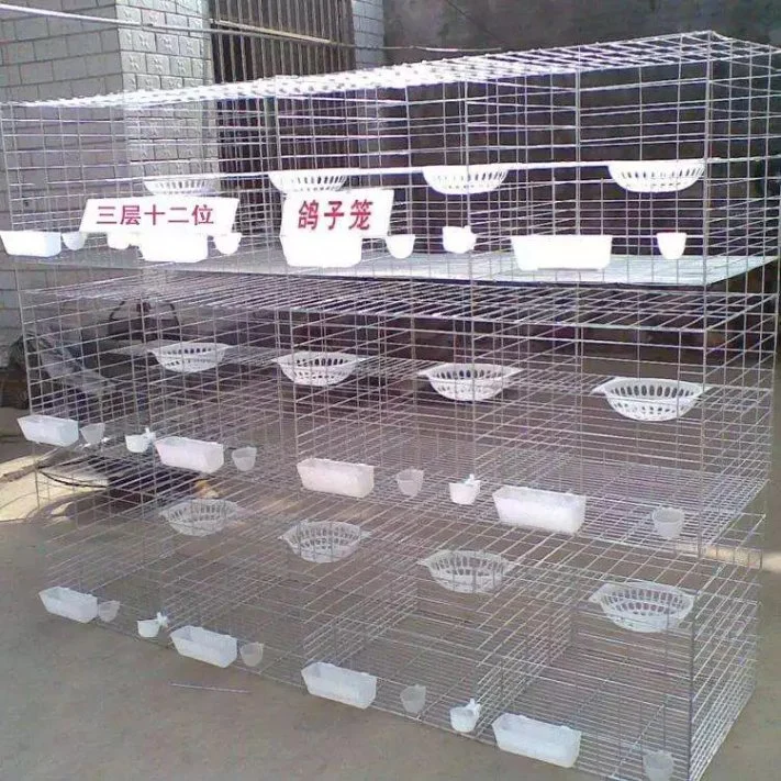 Professional Pigeon Cage Breeding Bird Cage/ Metal Pigeon Cage Layer H Type Cages/ Design Modern Poultry Cage