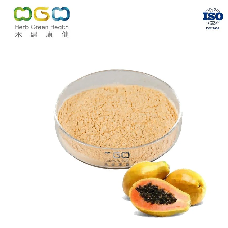 Natural Spray Dried Bulk Papaya Fruit Powder / Papaya Vegetable Powder