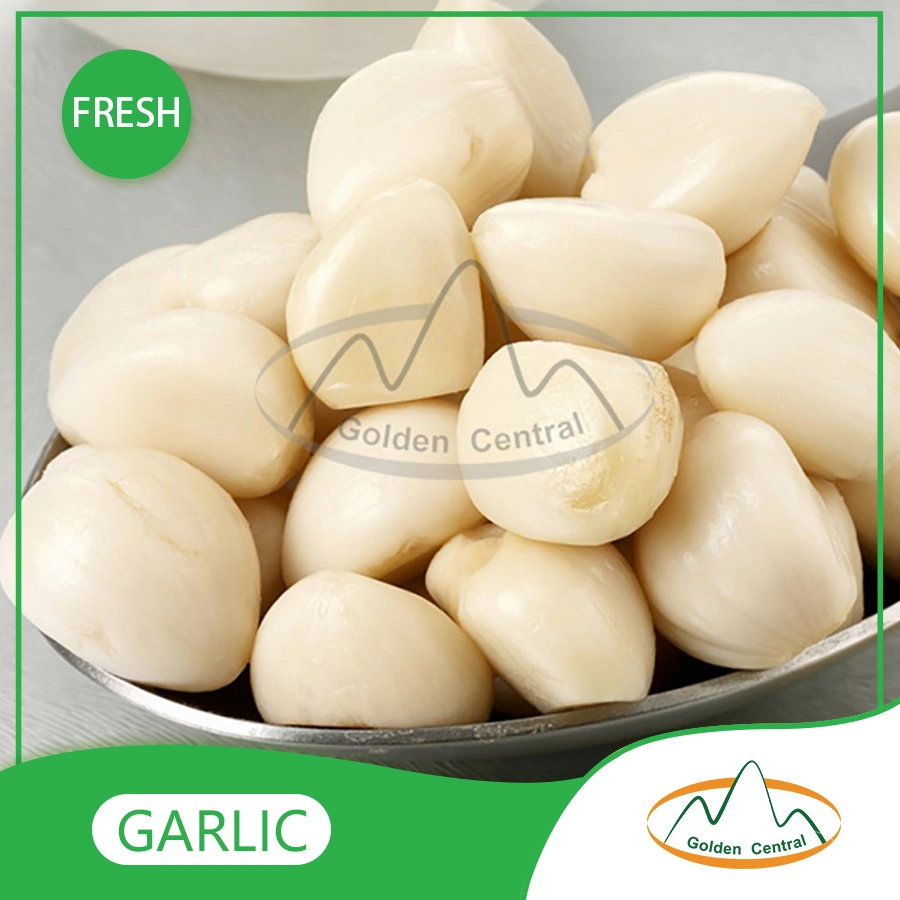 Fábrica de Ajo Blanco puro fresco Precio/ Venta de Ajo a granel/ Ajo