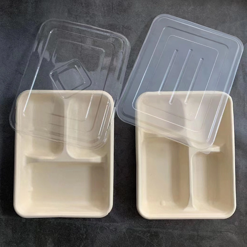 Watsonpak Environmental Protection Microwave Co Sugarcane Bagasse Bamboo Pulp Disposable Food Service Pulp Paper Compartment Biodegradable Tray with Lid