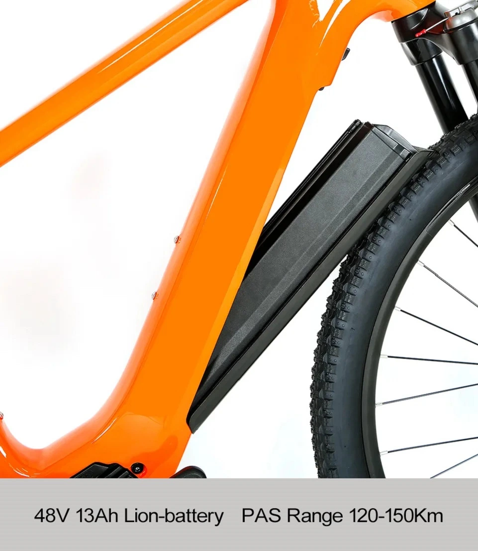 Galaxy Ebike alliage aluminium cadre Electric Dirt Bicycle 250W Electric Vélo tout-terrain