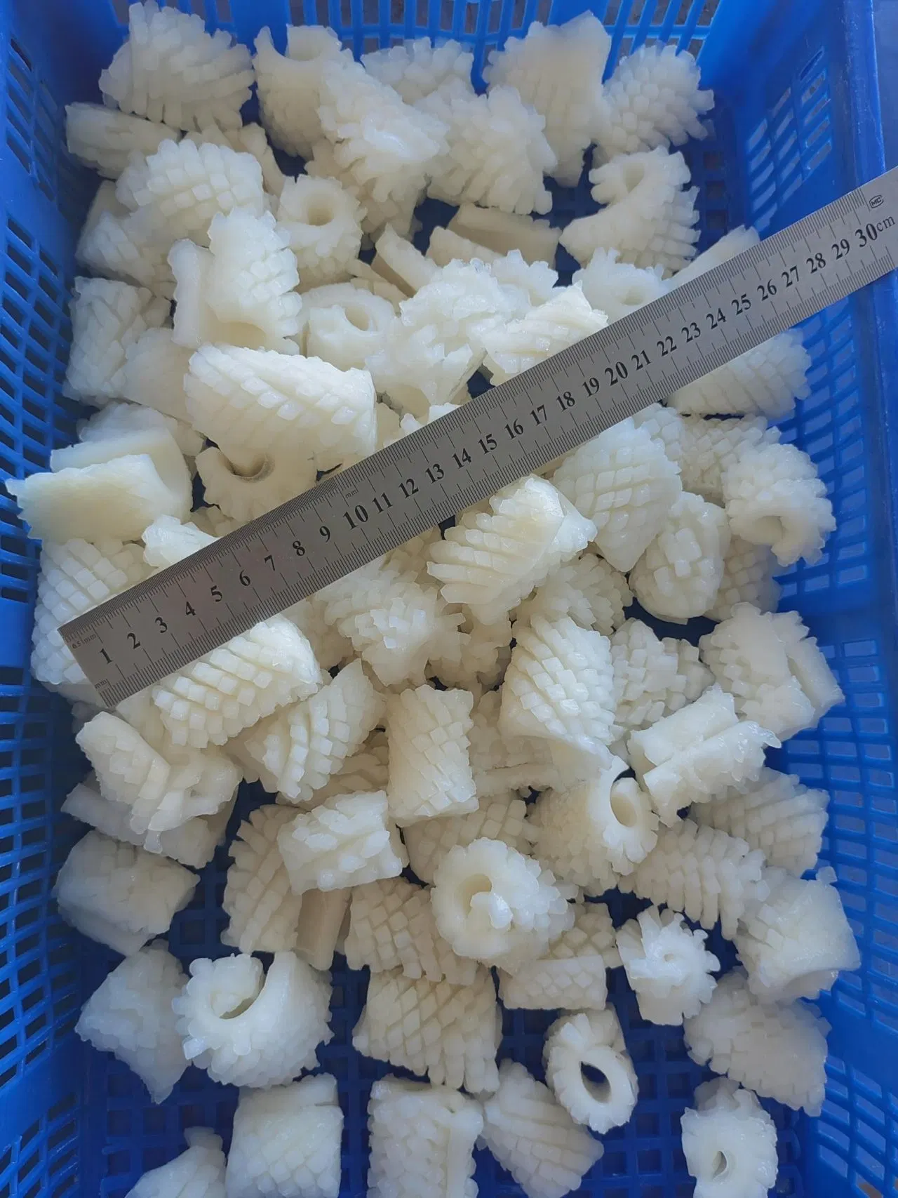 Frozen Seafood Nutritious Illex Argentinus Squid/Calamari Flower Cut with Best Price