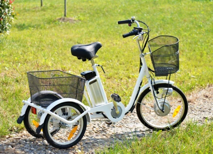 36V 250W 3 Wheel Electric Adult Trike Tricycles Made in China