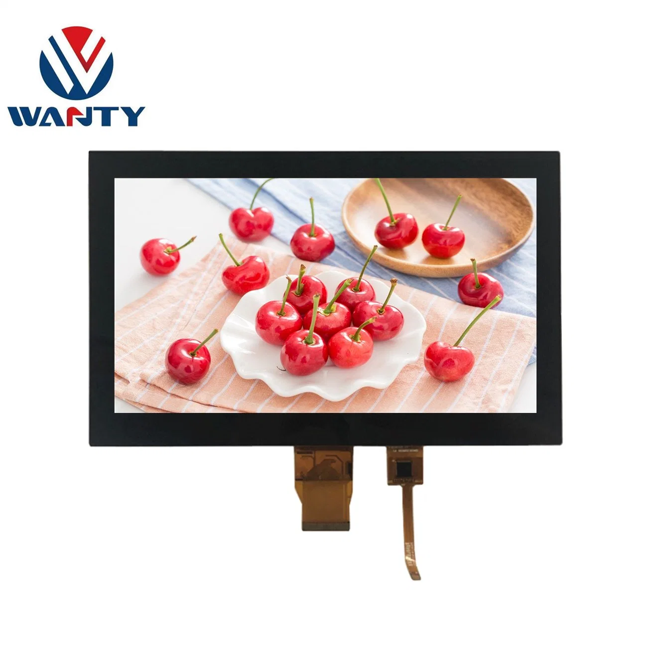 Moniteur de module LCM RVB 10.1 broches IPS 1024x600 anti-reflet Panneau d'écran LCD TFT tactile PCAP Multi Touch I2C