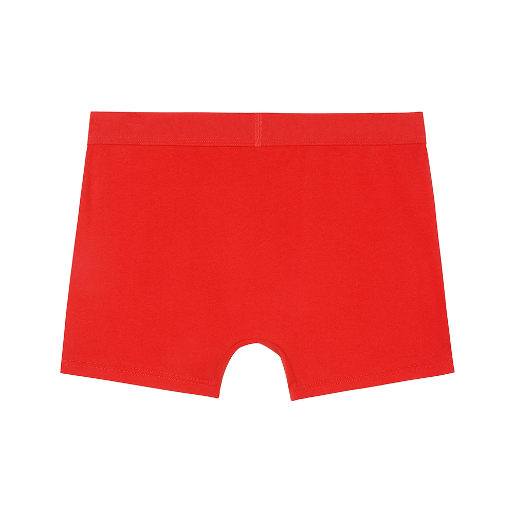 Underwear Trunks Panties Boxer Wholesale/Supplier Mens Short