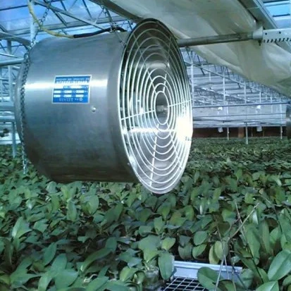 Stainless Steel Circulation Blower for Greenhouse Inside Environment Improvement