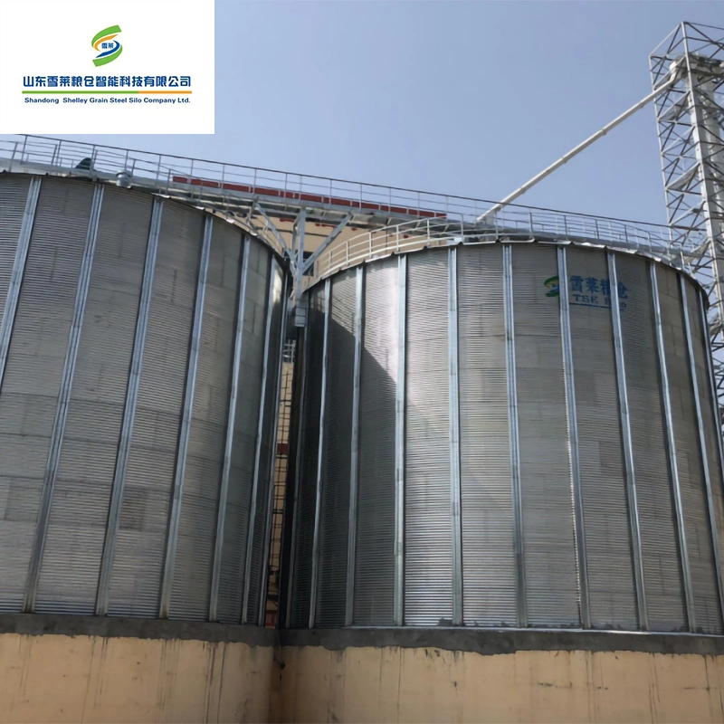 Oferta profesional Silos silos de acero ensambladas Bean de Materias Primas Almacén de silo