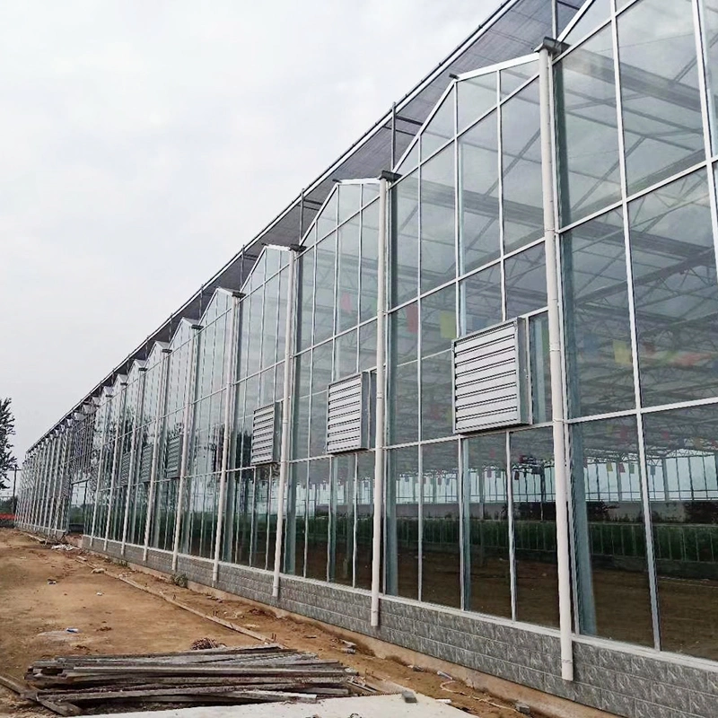 High quality/High cost performance Solar Control Tempered Insulated Glass Single and Multi Cooling Greenhouse Hydroponics System with Accessories