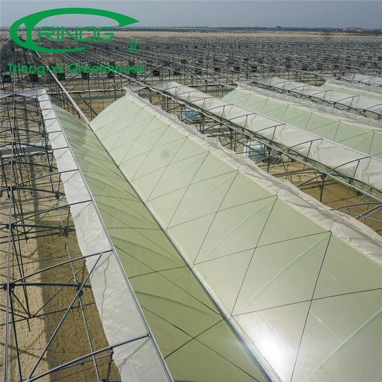 Low Cost Agricultural Multi-Span Film Greenhouse with Shading System for Vegetable Growing