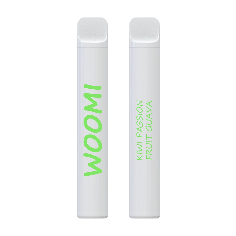 Disposable/Chargeable Vape Pod Vaporizer Vape Customized Brand Factory Price Woomi Snow 600 Mesh Coil All Fruit Flavors Vaporizer