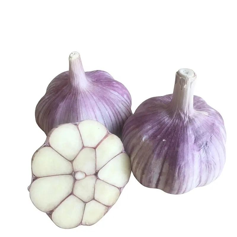 4.5cm 5.0cm 5.5cm 6.0cm 10kg Carton Normal White Fresh Garlic Price