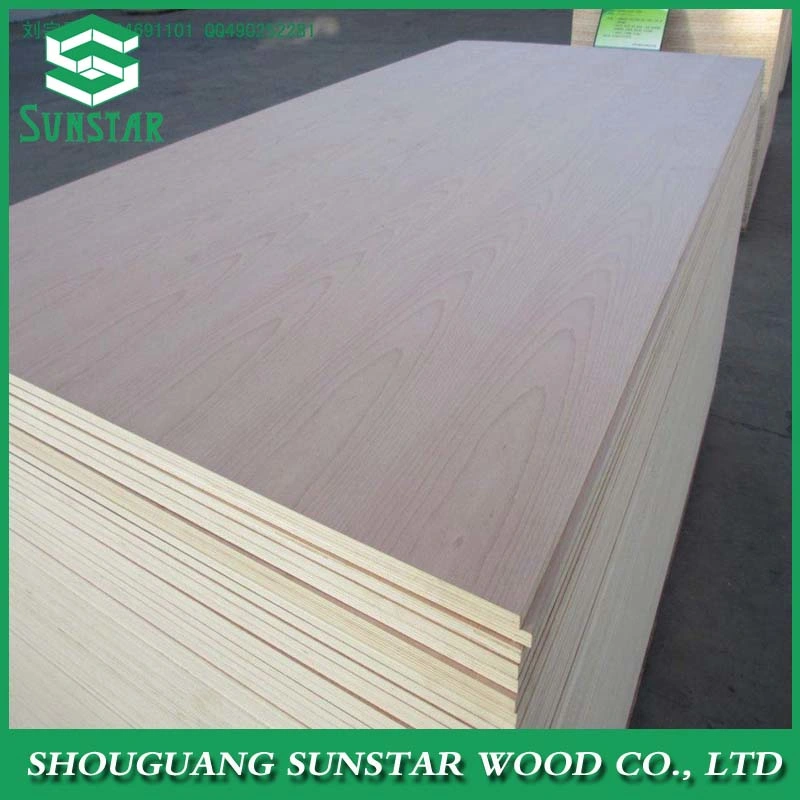 Okoume, Bintangor, Pencil Cedar, Keruing, Poplar, Birch, Pine, Maple, Hardwood, Commercial Plywood /Veneer Plywood