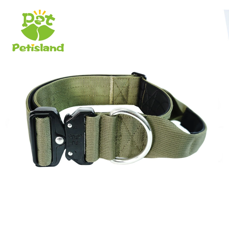 Petisland PET Collar Wholesale/Supplier produits PET Moyen grand chien en acier inoxydable Entraînement en nylon tressé à boucle personnalisée Nouveau design Snake boucle chien Collier