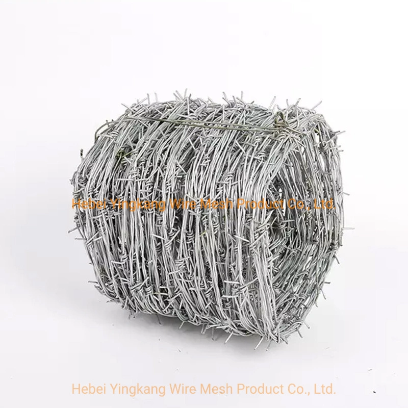 Hot Selling Razor Blade Galvanized Binding Wire Rope Double Twist Wire Roll Protecting Mesh Different Types Steel Wire T Post Stainless Steel Barbed Wire