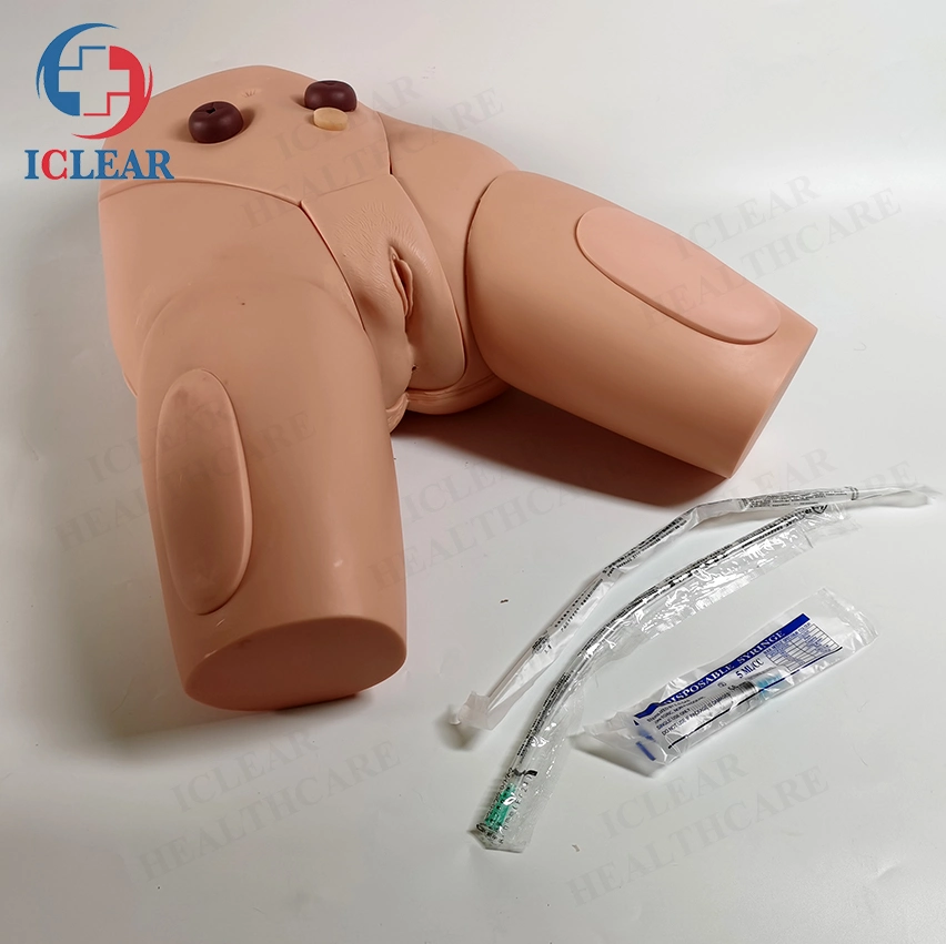 Senior Female Genital Catheterization Simulator