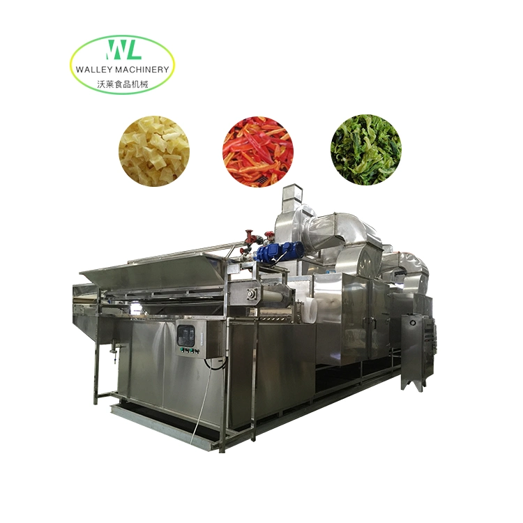 Hotsell Industrial Continuous Conveyor Food Dehydrator Machine Drying Equipment