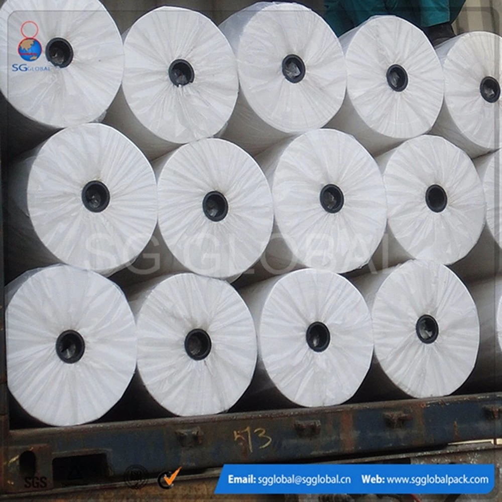 20GSM White PP Non Woven Fabric for Frostproof